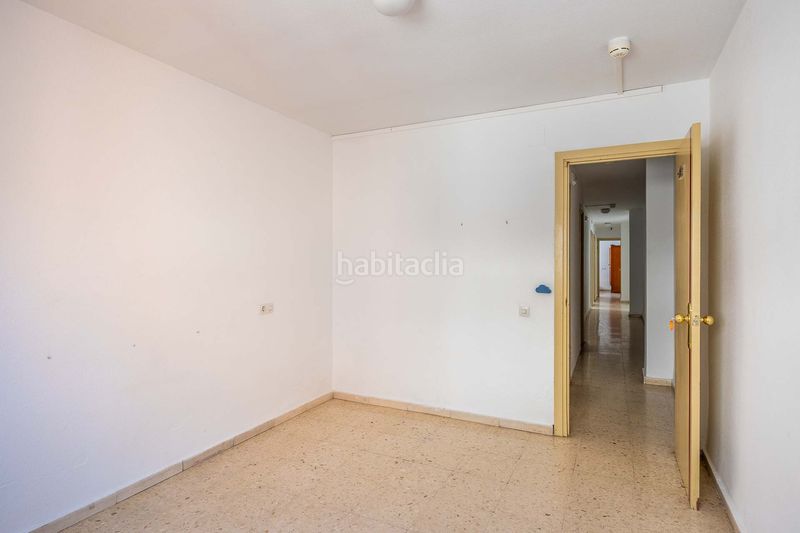 Foto 0e72d379-2003-43c9-9df4-8d1f0b1fdd3a. Pis a La Buhaira Sevilla