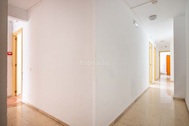 Foto c50e5bab-722e-4251-8fc7-029b27a44e66. Pis a La Buhaira Sevilla