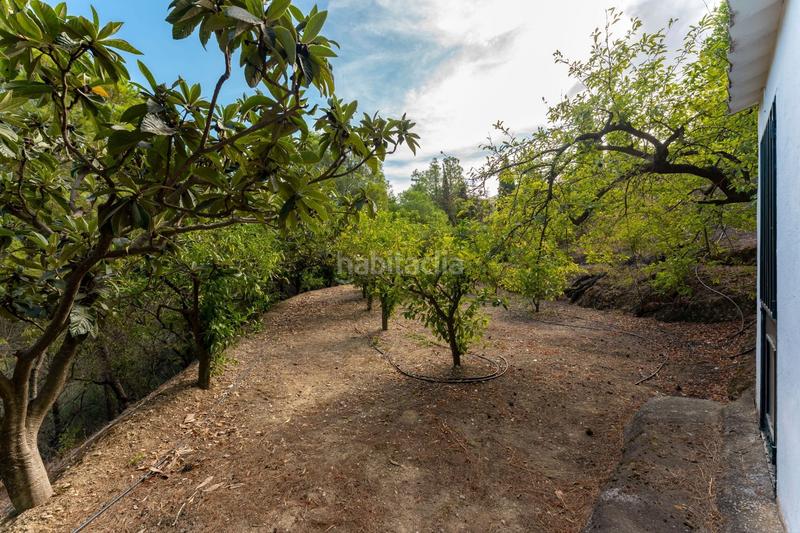 Foto 600a76f0-d3b4-4252-8cf5-75fb64c62de7. Country house with parking pool in Centro Alhaurín el Grande