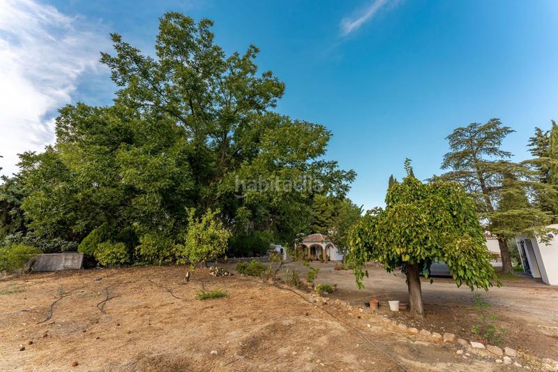 Foto ed7bbe33-f2a7-4cbf-b0c4-f29384c3870c. Country house with parking pool in Centro Alhaurín el Grande