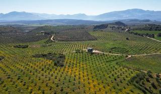 Terrain résidentiel à Archidona