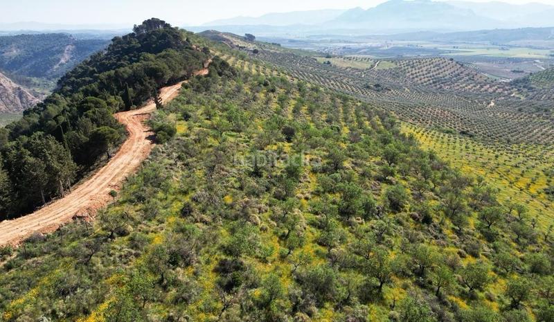 Foto 18a74ba5-3d6a-410c-939f-a0793f557a64. Terrain résidentiel dans Archidona