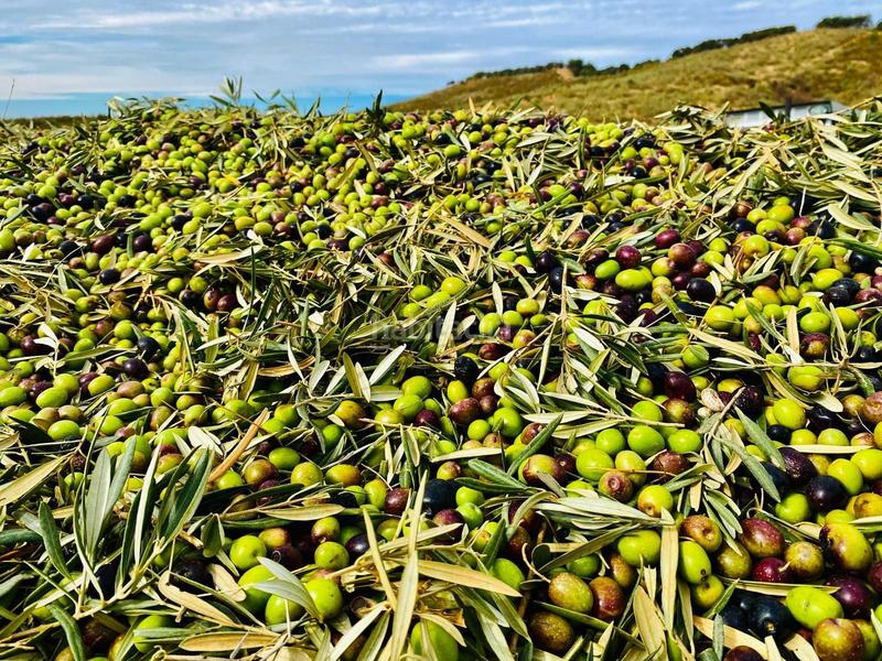 Foto 3856102a-4cba-4326-bc88-e02102d7f36d. Terrain résidentiel dans Archidona