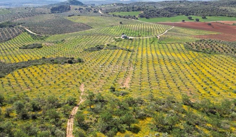 Foto 69db13b3-fda5-4174-ae45-8a83b16284c0. Terrain résidentiel dans Archidona