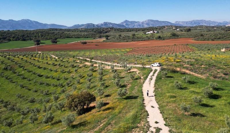 Foto 09ad97a8-fedf-4516-88a7-e41b8f447cd6. Wohngrundstück in Archidona