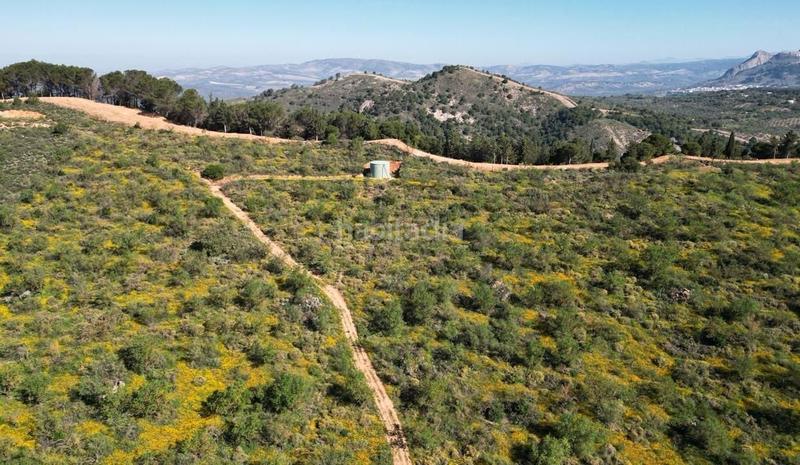 Foto 125c413c-c98e-42ac-a3c4-eb6cc3d63c0d. Wohngrundstück in Archidona