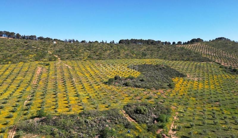 Foto 33e32ae3-8596-4c2f-a9c2-7052b7e49342. Wohngrundstück in Archidona