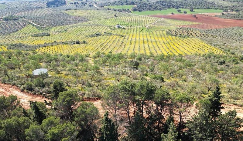 Foto a626d2bb-2225-4a1f-8605-38832f74de22. Wohngrundstück in Archidona