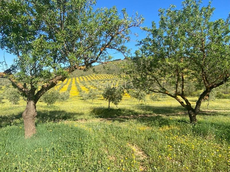 Foto b980f6dc-6385-43fb-9d5b-be63da4e618d. Wohngrundstück in Archidona