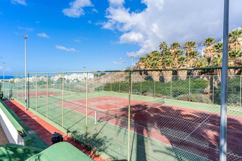 Foto c5d731a3-bd5e-4642-8c1e-600dc1590de9. Pis a Torviscas Centro y Alto Adeje