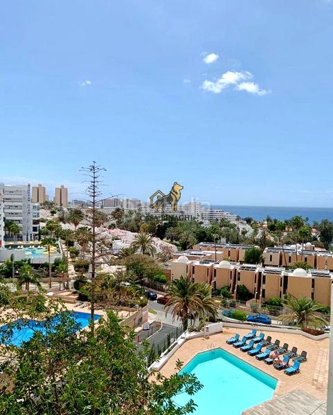 Foto 6cc2890d-a957-4377-85ed-dd6f6a0e1dcb. Estudi a Playa de las Américas Adeje