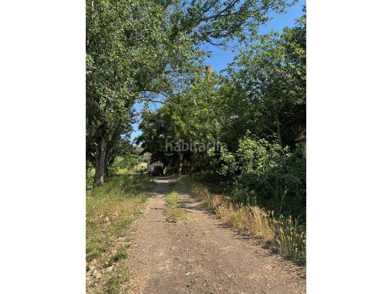 Foto 00534c8c-9f87-4cf6-b24e-b48b3afe3445. Mas dans polígono 1 907 dans Soneja