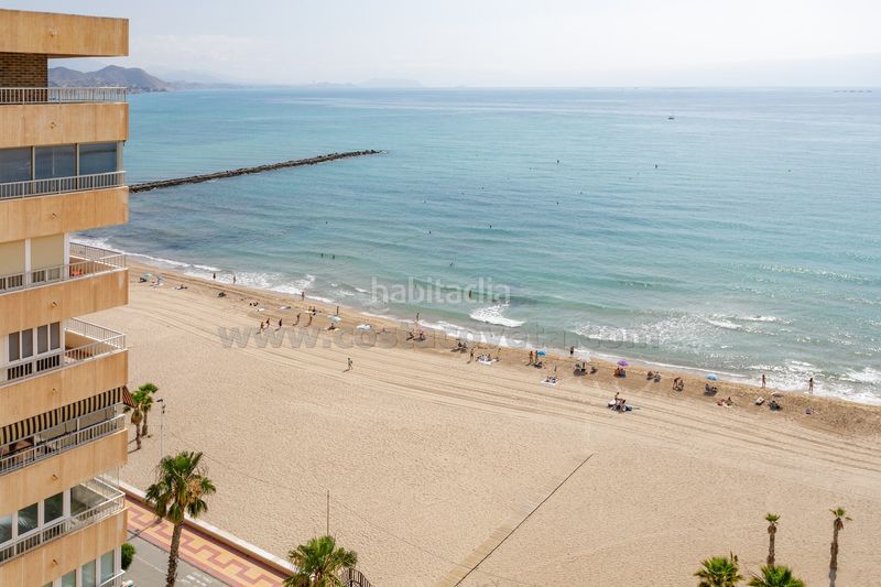 Foto d42280e6-ca4a-41c6-9e37-14d553dd017e. Àtic a sant bartolomeu 30 a Campello Playa Campello (el)