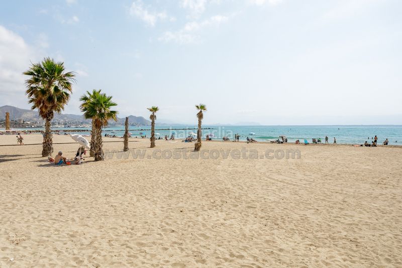 Foto f1a2fc4e-e037-478d-8349-50f5e42dda90. Àtic a sant bartolomeu 30 a Campello Playa Campello (el)