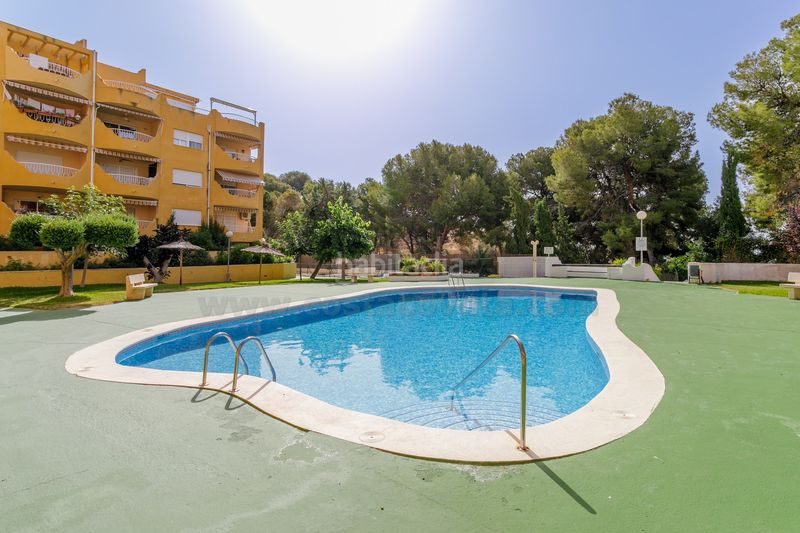 Foto bcdbf47c-7684-4b01-90fc-a9e3fbbc6c3c. Apartament amb piscina a Pueblo Español-Coveta Fumá Campello (el)