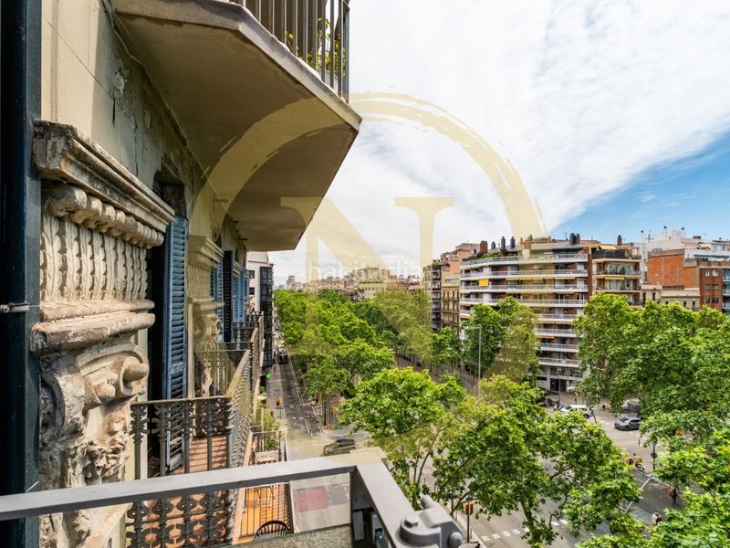 Foto d6e436cd-4c48-4308-8177-ac27d3bd8bb8. Pis a La Nova Esquerra de l´Eixample Barcelona
