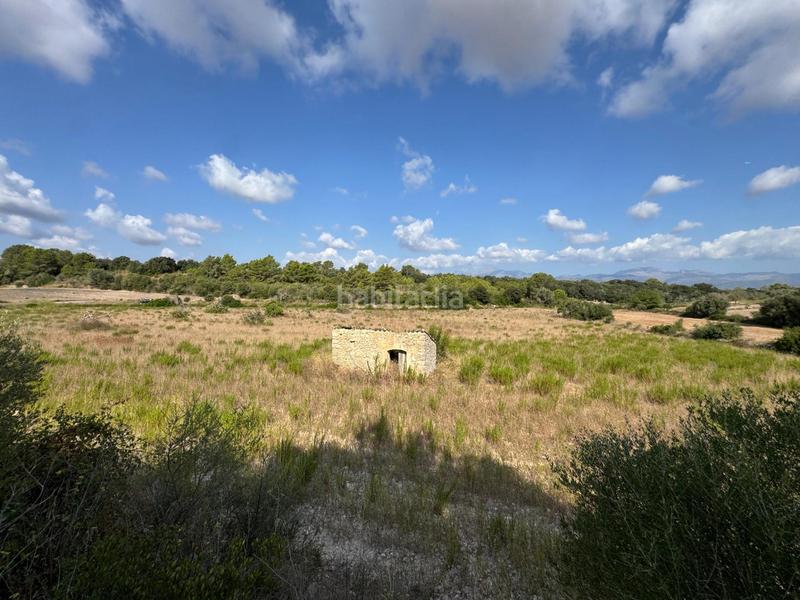 Foto 216e3c95-865a-41ca-a8d8-5b75213ad287. Landgut in Llubí