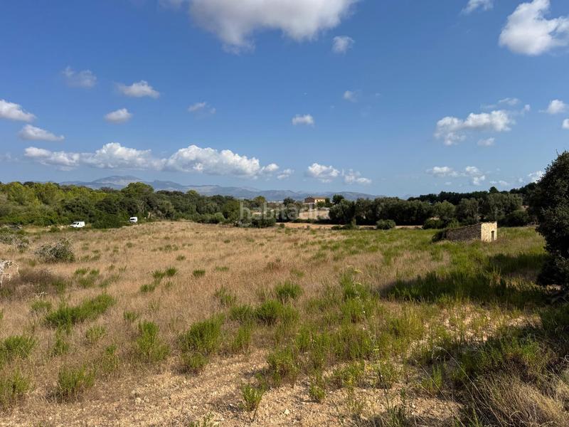 Foto bb14989d-1cc4-48f7-b9c7-0b6f3405ca75. Landgut in Llubí