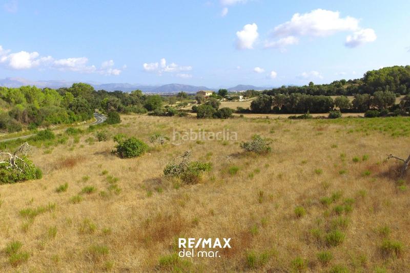 Foto d0b20923-5d7d-4bb2-b7e2-86cdc8218205. Landgut in Llubí