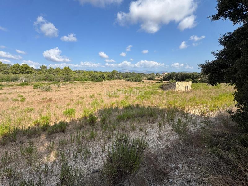 Foto faaaeb3a-5532-477b-a41b-3567f12f1f47. Landgut in Llubí