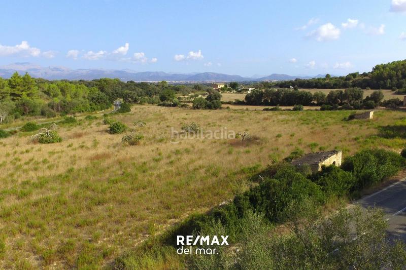 Foto 557fd1bf-e47b-41b0-aaf7-c4c3eb0f6dbc. Finca rústica a Llubí