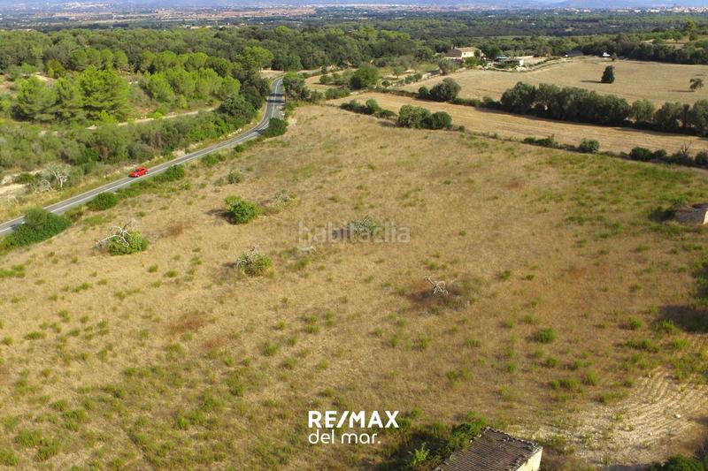 Foto 7c14a6d5-cec7-4f2e-88b2-2bcd09c68880. Finca rústica a Llubí