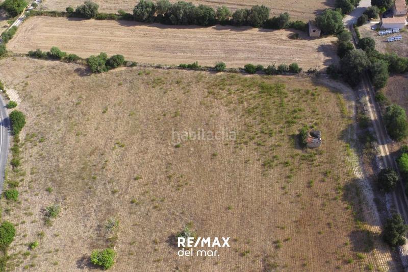 Foto 831ead8e-d196-4ca8-ae70-23e32f04860b. Finca rústica a Llubí