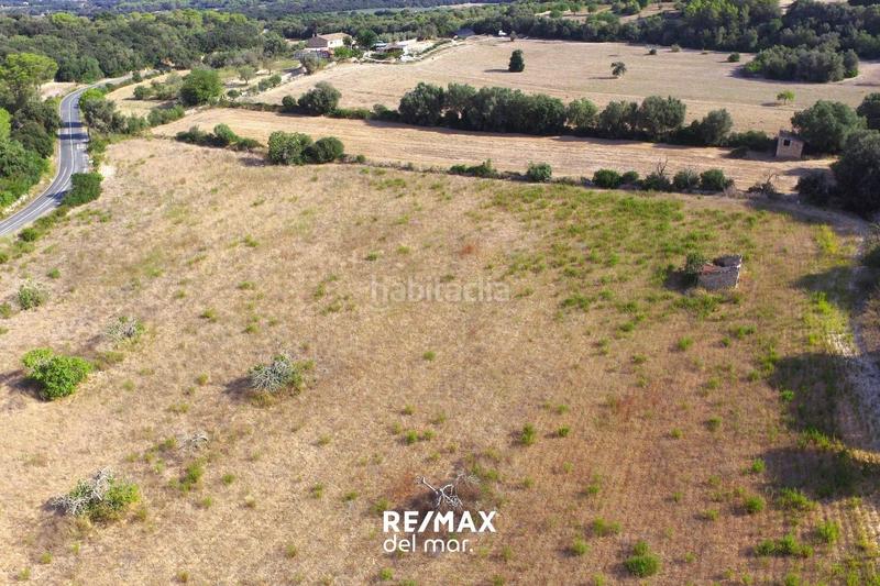 Foto 943ac142-53d8-4e69-87e6-849970e48d6a. Finca rústica a Llubí