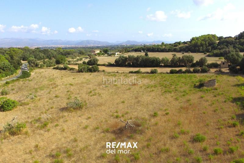 Foto 9cecc180-d6d2-483b-86c4-bba62084a386. Finca rústica a Llubí