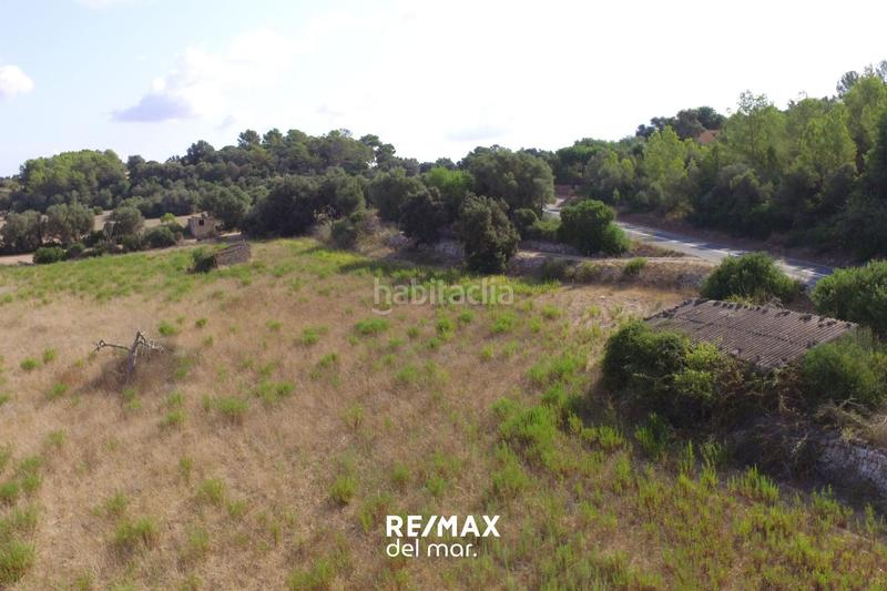 Foto 9f74c962-a7fd-41db-8572-45d36f089ef6. Finca rústica a Llubí