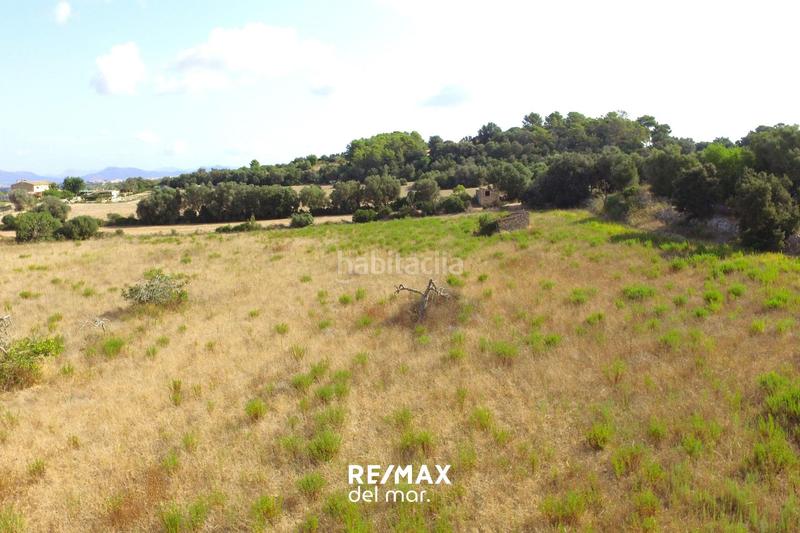 Foto bc6ae7f1-ccb0-42fa-b683-7203111079e5. Finca rústica a Llubí