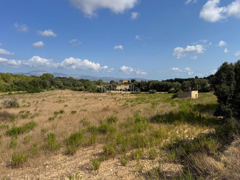 Foto fe01701f-4a98-4aad-936b-2a941b305118. Finca rústica a Llubí