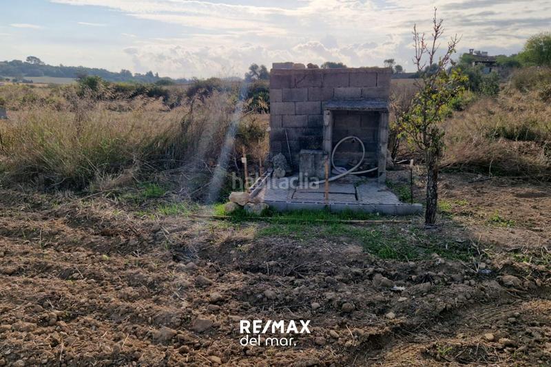 Foto 2140677d-0600-4b83-b30d-8f6bb45dc1ea. Rural plot in Porreres