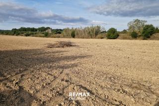 Rural plot in Camino Banyeres