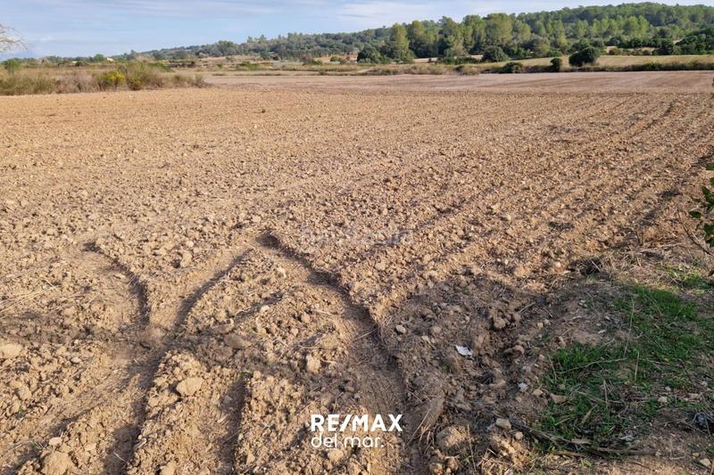 Foto 4fc24608-48de-4d69-833f-3c92535b7f3b. Rural plot in Porreres