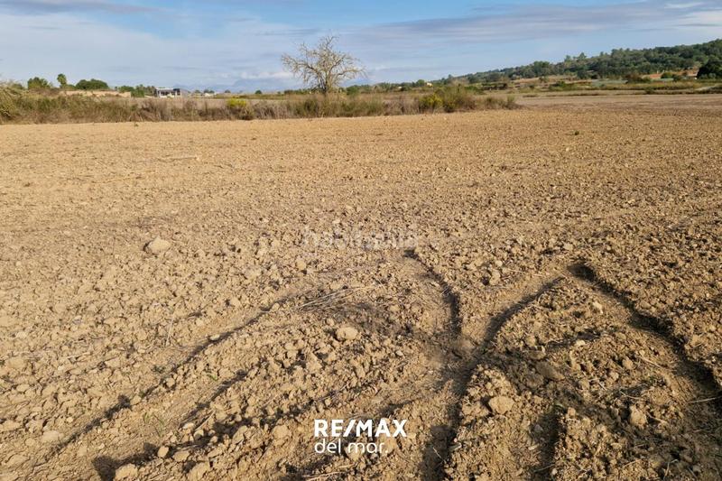 Foto d7fa4802-0612-464b-aa49-e84114f2e51e. Rural plot in Porreres
