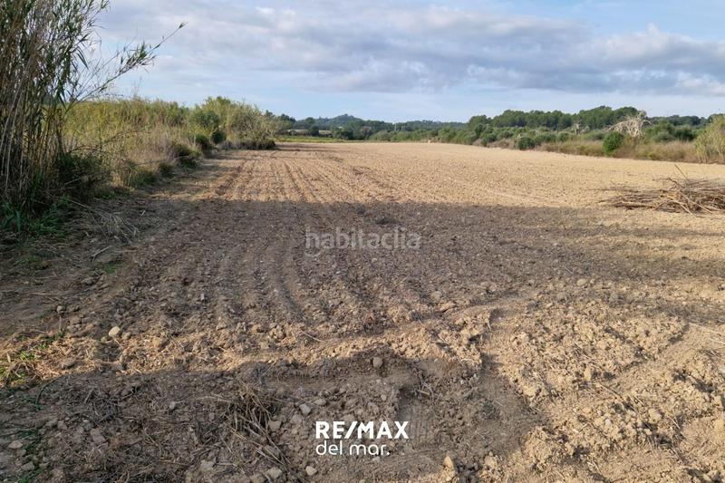 Foto e33140e2-750d-4b0b-9504-20318fafb1e6. Rural plot in Porreres