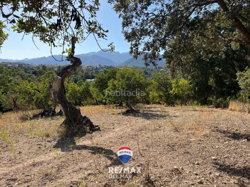 Foto a1102b17-e056-473d-ae35-bc5171f3266c. Finca rústica finca con proyecto de obra en Campanet