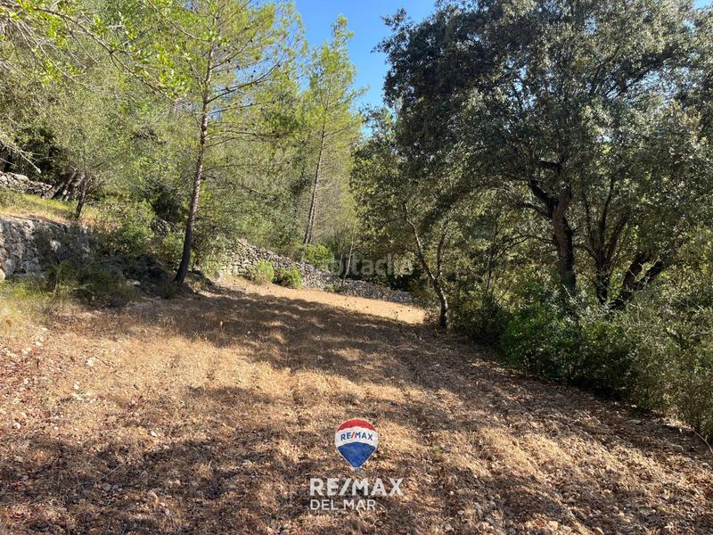 Foto da31beae-66ec-4517-8db1-1e4c252f5199. Finca rústica finca con proyecto de obra en Campanet