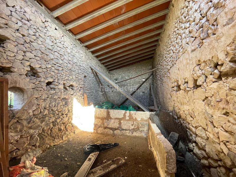 Foto 033dcbaa-8709-46b6-a1f4-486c7f33a10d. Mas dans Llubí