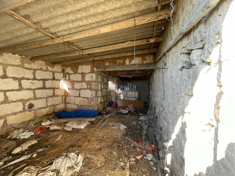 Foto 25ca0756-7331-4c01-a638-288ac8d7796c. Mas dans Llubí