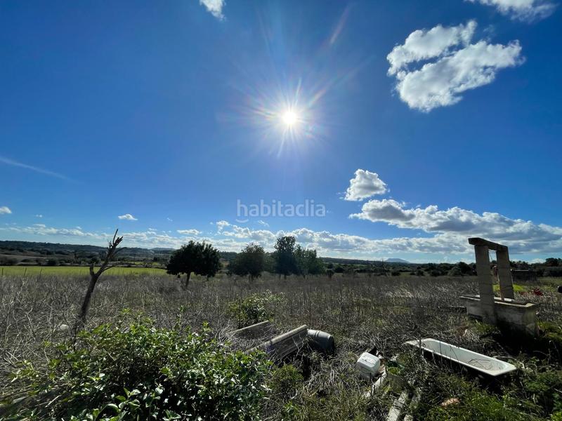 Foto 63a1c06a-bf8d-445f-9ed4-53c034112ccf. Mas dans Llubí