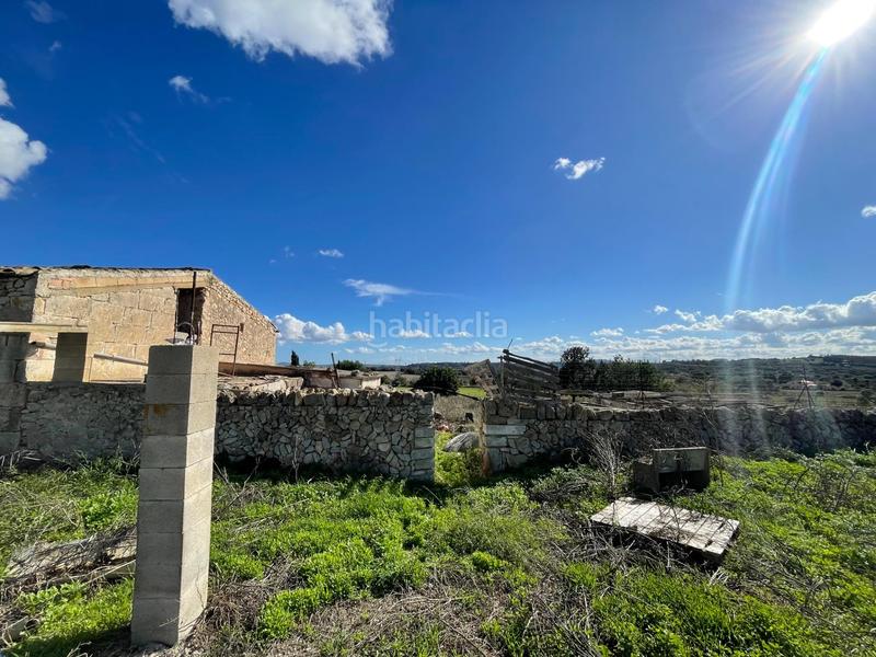 Foto ff158bff-cdbc-485c-a235-4b1cf1e30b77. Mas dans Llubí