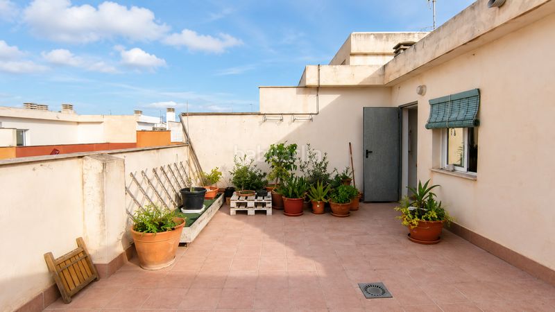 Foto 9b116fdb-41f6-4fc2-bba5-81f9d06685c1. Apartament amb aparcament a Centro Mutxamel