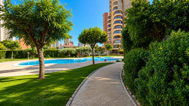 Foto e8684073-e5ec-4160-b601-63617b9a94fa. Pis amb calefacció aparcament piscina a Juzgados - Plaza de Toros Benidorm