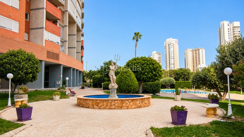 Foto fa1dadfd-2e37-43a8-aed1-b43d0ad442a7. Pis amb calefacció aparcament piscina a Juzgados - Plaza de Toros Benidorm