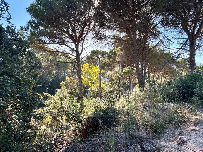 Foto 716377d7-66b0-4e28-8d67-5afa0d1b669f. Wohngrundstück in Aiguaviva Parc Vidreres