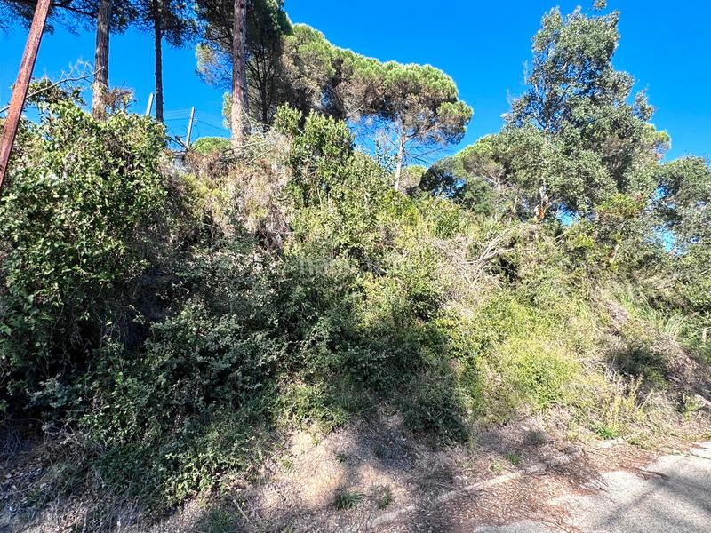 Foto c1402d6d-a2b4-4b93-b1a9-c7ba2a503165. Wohngrundstück in Aiguaviva Parc Vidreres