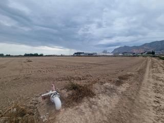 Solar industrial en Lugar diseminado cox 79. Venta de terreno con muchas posibilidades.