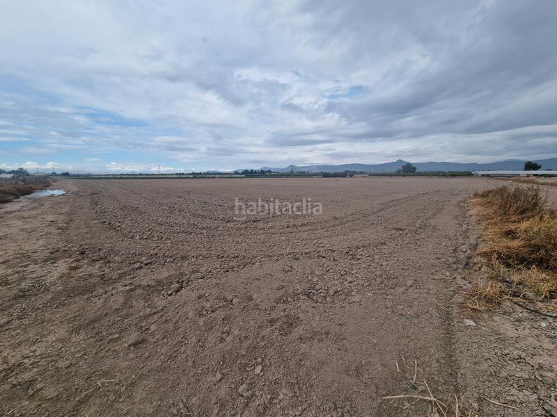 Foto 4ef5f322-5545-43fe-8f02-1fe1e4902e52. Area edificabile industriale in lugar diseminado Cox 79 in Cox